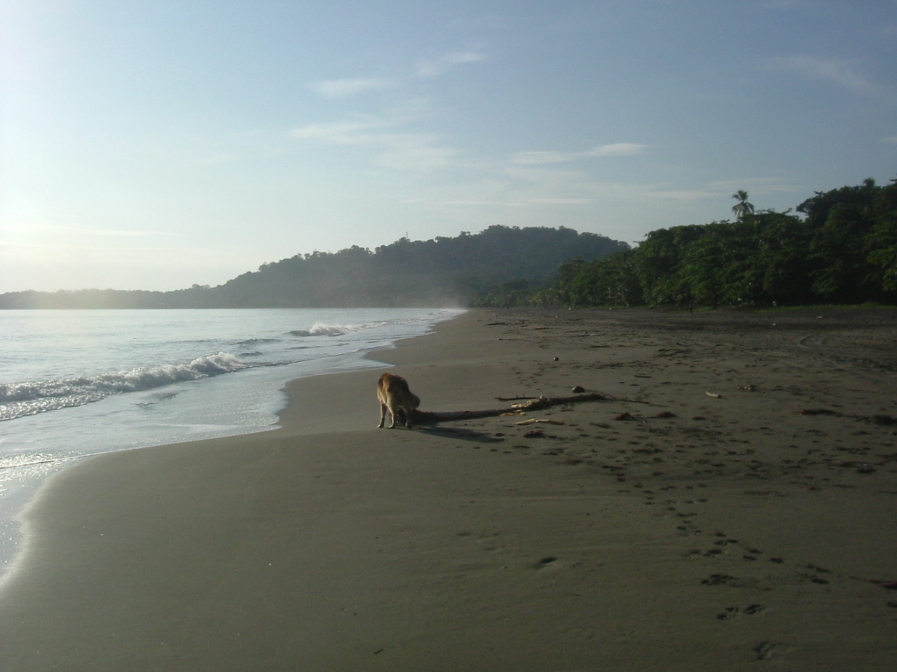 Chimuri beach in front